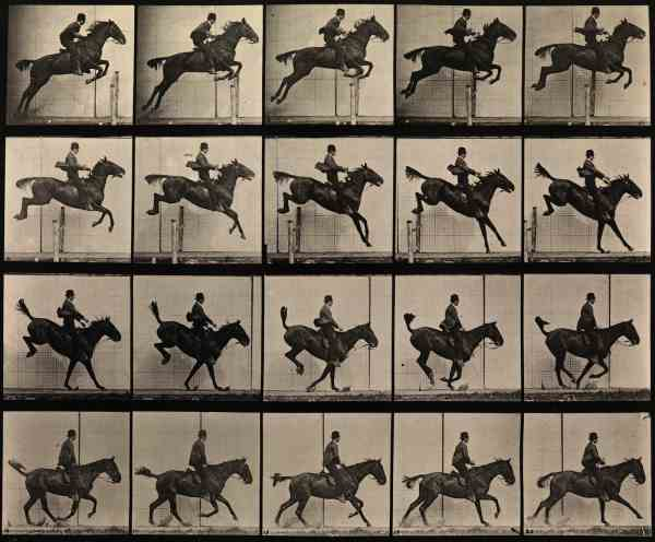 Eadweard Muybridge's Photographic study of a man jumping a horse